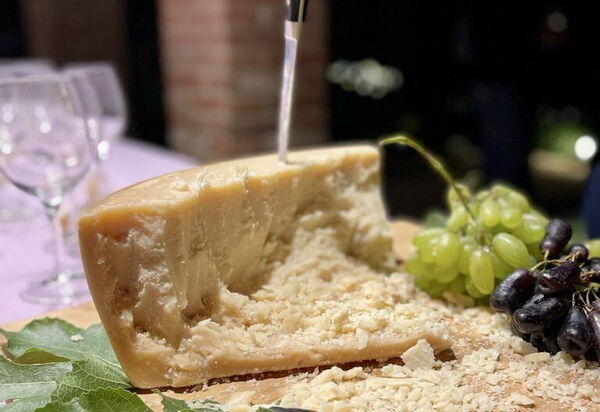 Villa Pellico: Attività, Dettagli della stanza, Estate, Esterni, Primavera, Servizi