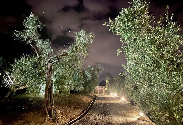 Villa Pellico: Attività, Dettagli della stanza, Estate, Esterni, Primavera, Servizi