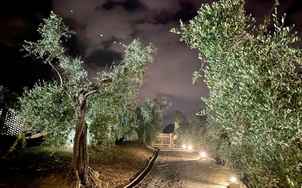 Villa Pellico: Activities, Building Exterior, Facilities, Room Detail, Spring, Summer