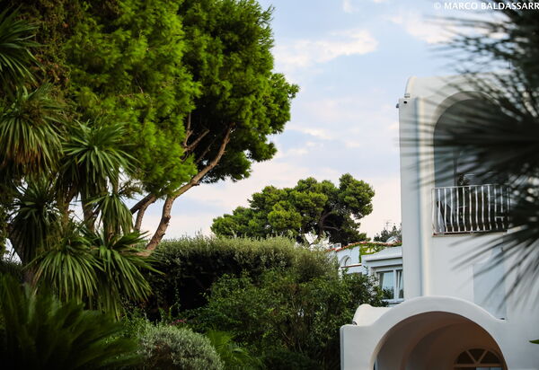 Villa Gotti: Building Exterior, Garden, Hot Tub, Main Entrance, Planimetry, Pool, Spring, Summer, Wellness