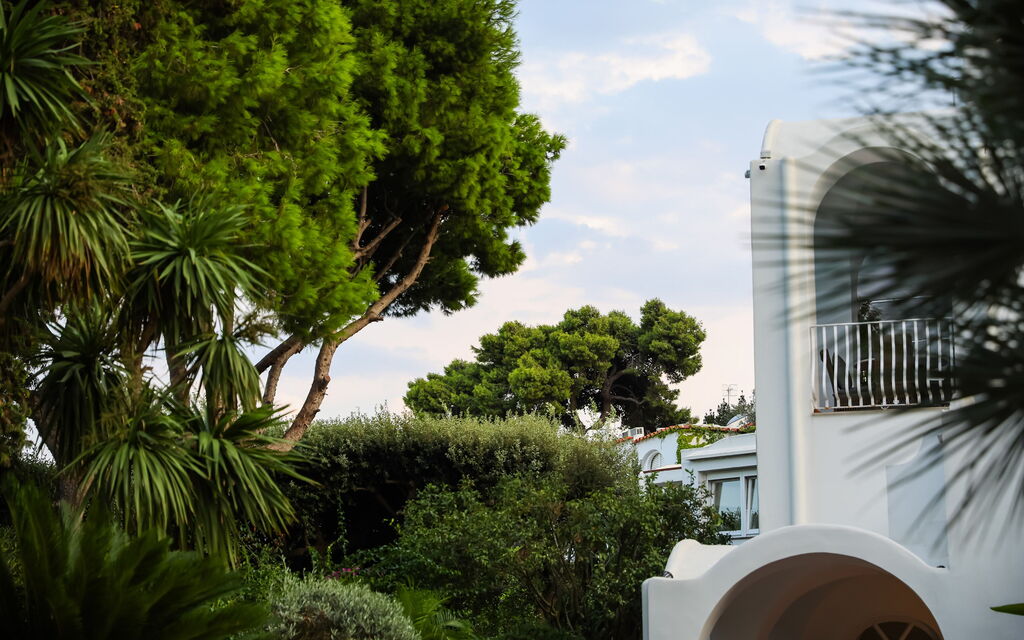 Villa Gotti: Benessere, Entrata Principale, Estate, Esterni, Giardino, Idromassaggio, Piscina, Planimetria, Primavera