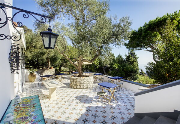 Villa Carola: Activities, Balcony / Terrace / Patio, Pool, Spring, Wellness