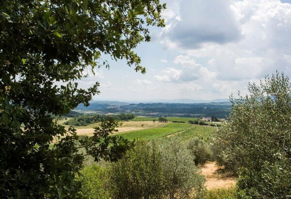 Villa Dallara: Amenities, Building Exterior, Garden, Pool, Spring, Summer, Wellness