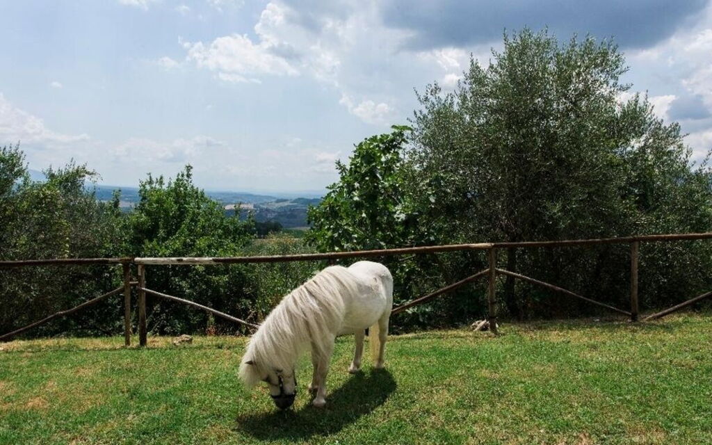 Villa Dallara: Amenities, Building Exterior, Garden, Pool, Spring, Summer, Wellness