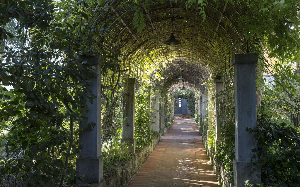 Villa Martelli: Attività, Balcone / Terrazza / Patio, Caratteristiche, Estate, Esterni, Primavera