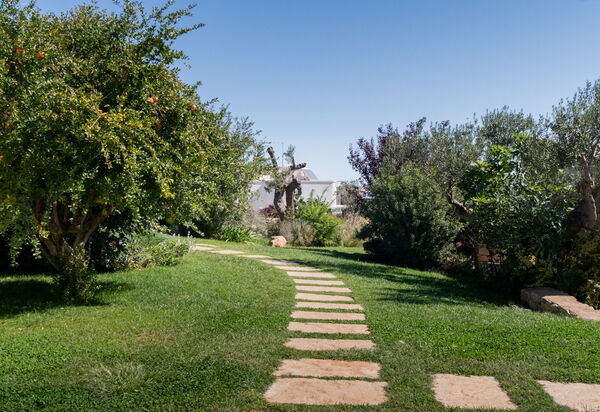 Lamia Degli Ulivi