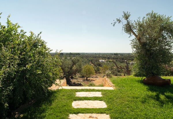 Lamia Degli Ulivi