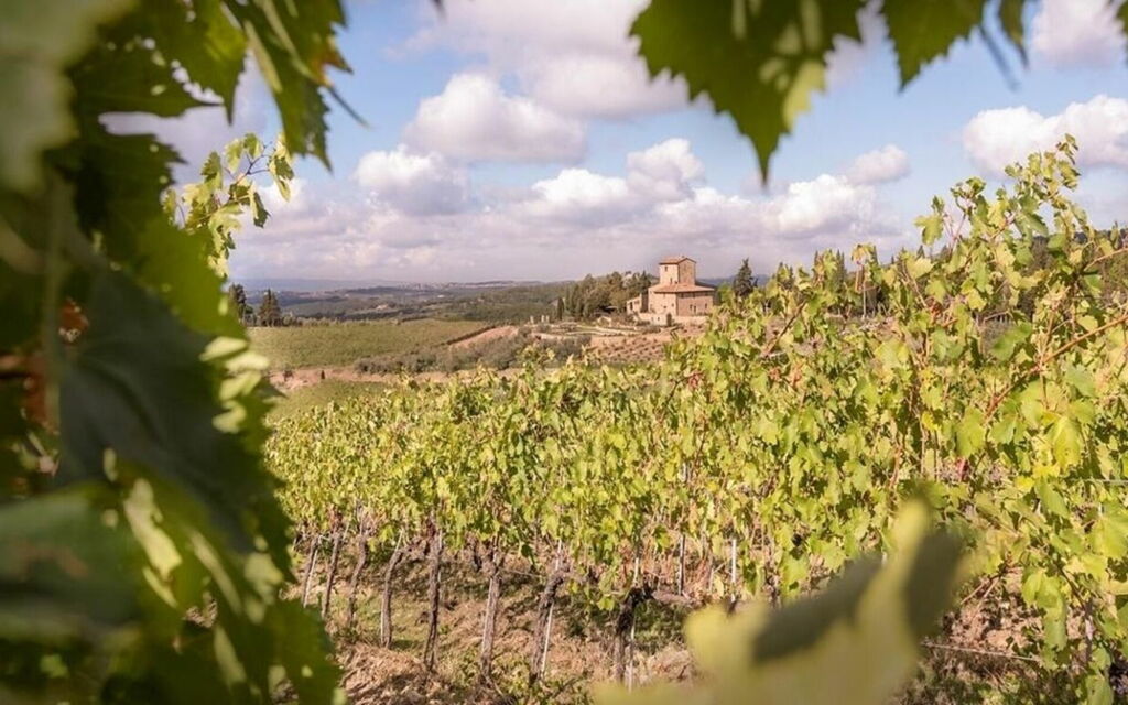 Villa Torre Merla: all'aperto, Balcone / Terrazza / Patio, Caratteristiche, Estate, Esterni, Piscina, Primavera, Servizi, Vista Panoramica