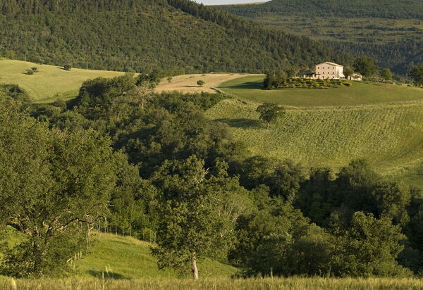 Villa Paride: Attività, Balcone / Terrazza / Patio, Benessere, Estate, Esterni, Giardino, Persone, Piscina, Primavera, Servizi, Vista Panoramica