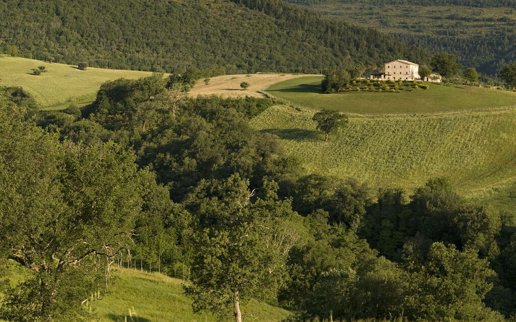 Villa Paride: Attività, Balcone / Terrazza / Patio, Benessere, Estate, Esterni, Giardino, Persone, Piscina, Primavera, Servizi, Vista Panoramica