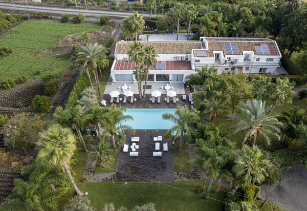 Villa Palmetta: Activities, Amenities, Building Exterior, Garden, Main Entrance, Pool, Spring, Summer, Wellness