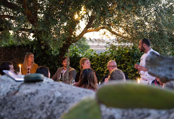 Villa Baroni: Amenities, Building Exterior, Garden, Main Entrance, Pool, Spring, Summer, Wellness