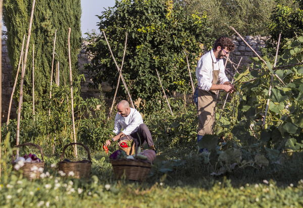 Villa Baroni: Amenities, Building Exterior, Garden, Main Entrance, Pool, Spring, Summer, Wellness