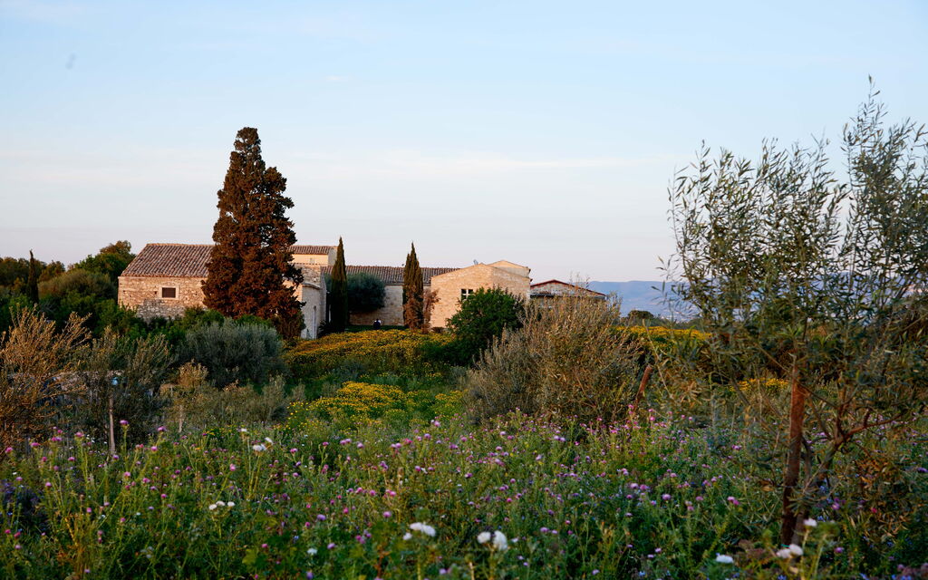 Villa Baroni: Amenities, Building Exterior, Garden, Main Entrance, Pool, Spring, Summer, Wellness