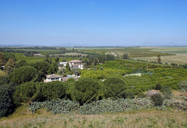 Villa Naxos: Activities, Amenities, Balcony / Terrace / Patio, Building Exterior, Facilities, Garden, Main Entrance, People, Pool, Spring, Summer, Wellness