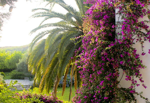 Villa Naxos: Activities, Amenities, Balcony / Terrace / Patio, Building Exterior, Facilities, Garden, Main Entrance, People, Pool, Spring, Summer, Wellness