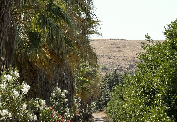 Villa Naxos: Activities, Amenities, Balcony / Terrace / Patio, Building Exterior, Facilities, Garden, Main Entrance, People, Pool, Spring, Summer, Wellness