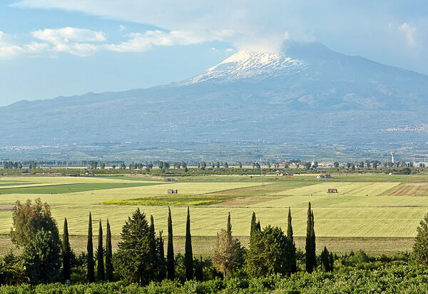 Villa Naxos: Activities, Amenities, Balcony / Terrace / Patio, Building Exterior, Facilities, Garden, Main Entrance, People, Pool, Spring, Summer, Wellness