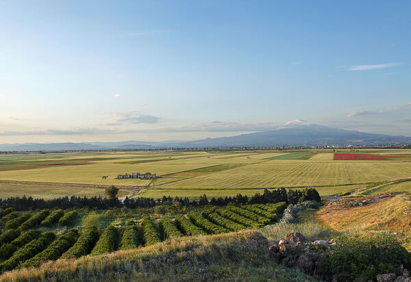 Villa Naxos: Activities, Amenities, Balcony / Terrace / Patio, Building Exterior, Facilities, Garden, Main Entrance, People, Pool, Spring, Summer, Wellness