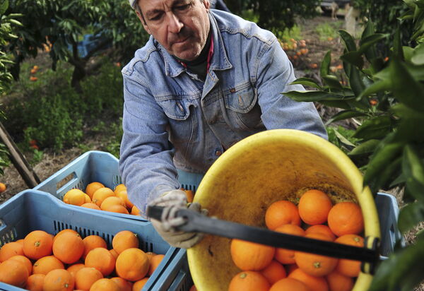 Villa Naxos: Activities, Amenities, Balcony / Terrace / Patio, Building Exterior, Facilities, Garden, Main Entrance, People, Pool, Spring, Summer, Wellness