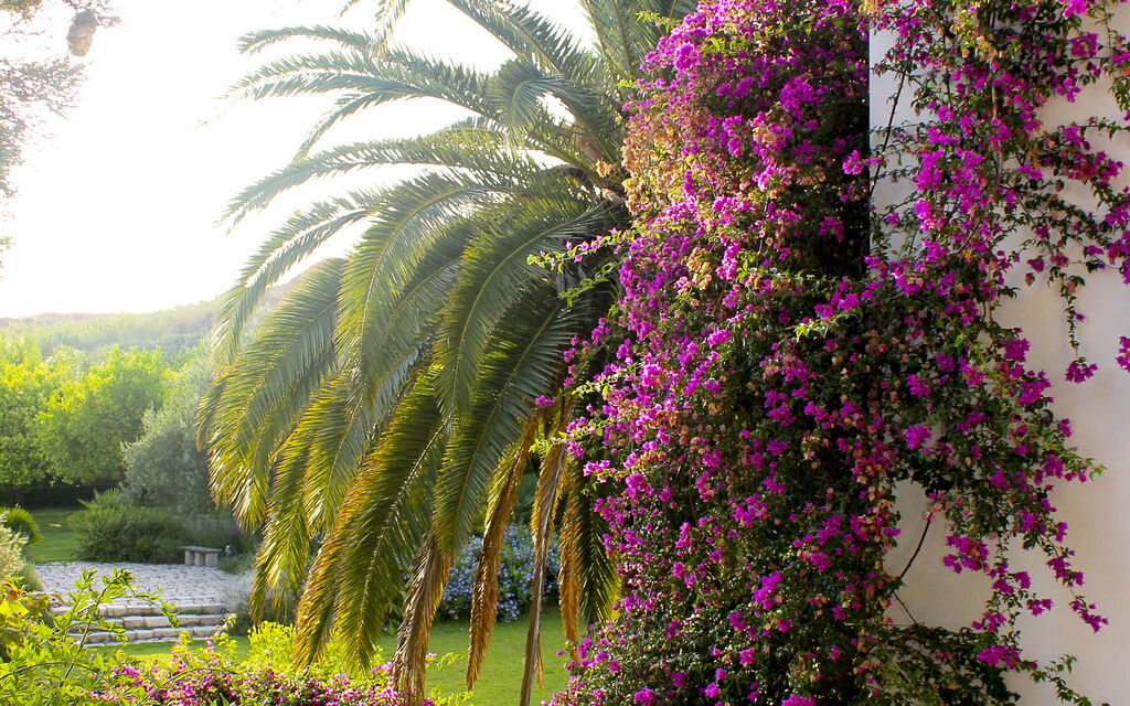Villa Naxos: Attività, Balcone / Terrazza / Patio, Benessere, Caratteristiche, Entrata Principale, Estate, Esterni, Giardino, Persone, Piscina, Primavera, Servizi