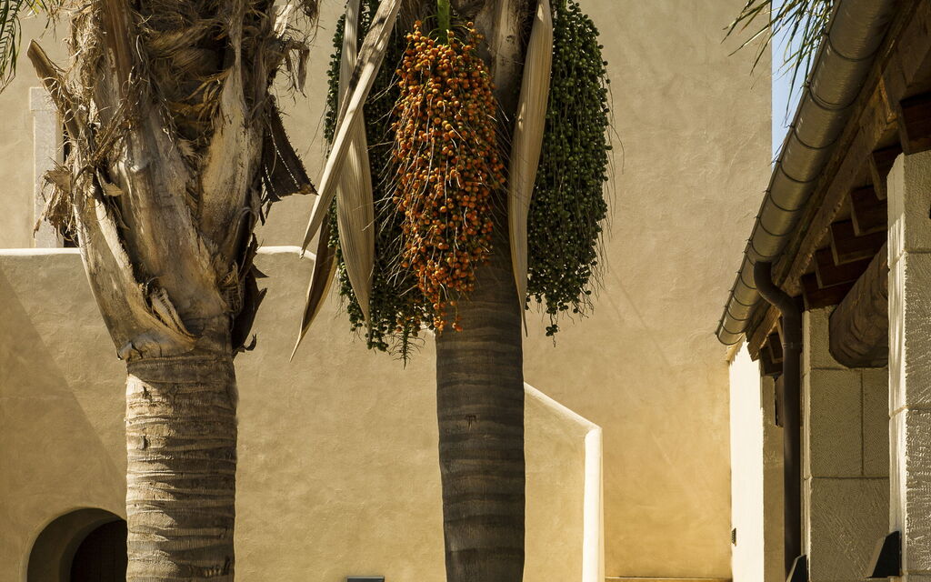 Villa Lanterna: Activities, Amenities, Balcony / Terrace / Patio, Building Exterior, Living Room, Pool, Room Detail, Spring, Summer