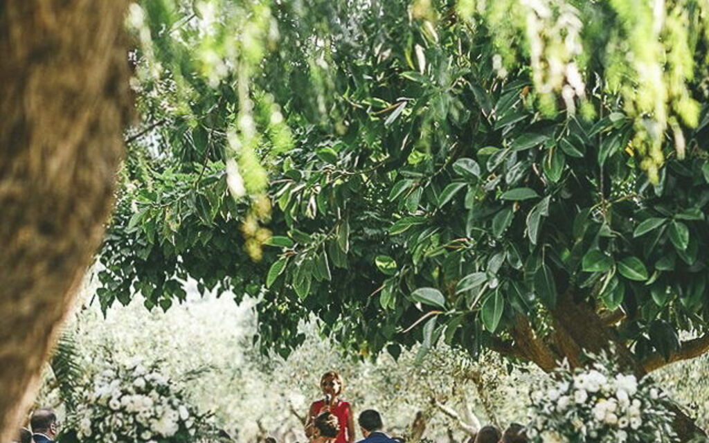 Villa Lanterna: Activities, Amenities, Balcony / Terrace / Patio, Building Exterior, Living Room, Pool, Room Detail, Spring, Summer