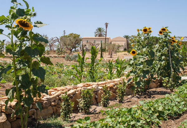 Villa Nativa: Activities, Amenities, Balcony / Terrace / Patio, Building Exterior, Garden, Main Entrance, People, Pool, Spring, Summer