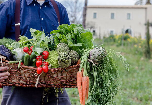 Villa Nativa: Activities, Amenities, Balcony / Terrace / Patio, Building Exterior, Garden, Main Entrance, People, Pool, Spring, Summer