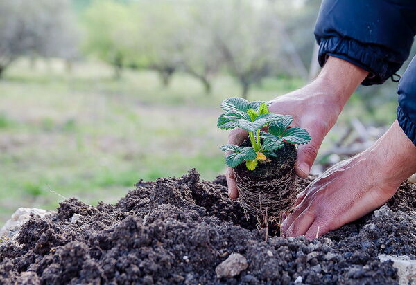 Villa Nativa: Activities, Amenities, Balcony / Terrace / Patio, Building Exterior, Garden, Main Entrance, People, Pool, Spring, Summer