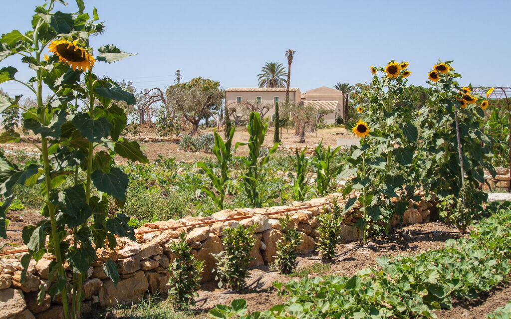 Villa Nativa: Activities, Amenities, Balcony / Terrace / Patio, Building Exterior, Garden, Main Entrance, People, Pool, Spring, Summer