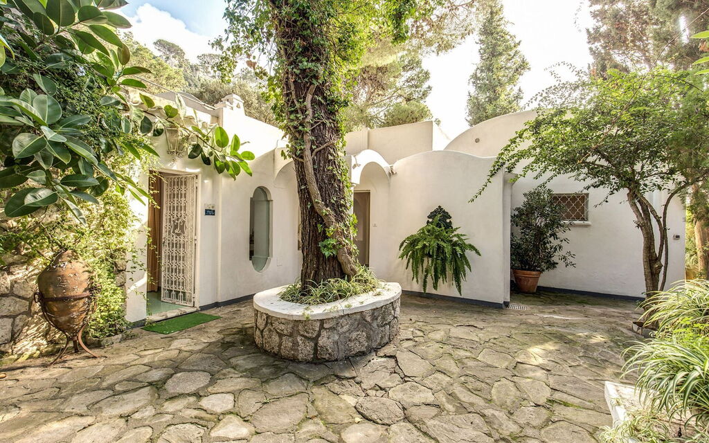 Villa Felicia: Attività, Benessere, Caratteristiche, Estate, Esterni, Giardino, Primavera