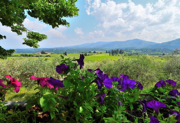 Villa Del Mosaico: Activities, Building Exterior, Garden, Spring, Summer