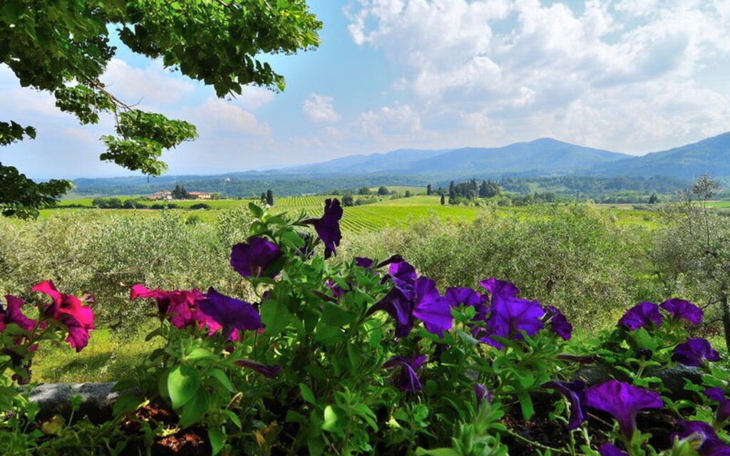 Villa Del Mosaico: Activities, Building Exterior, Garden, Spring, Summer