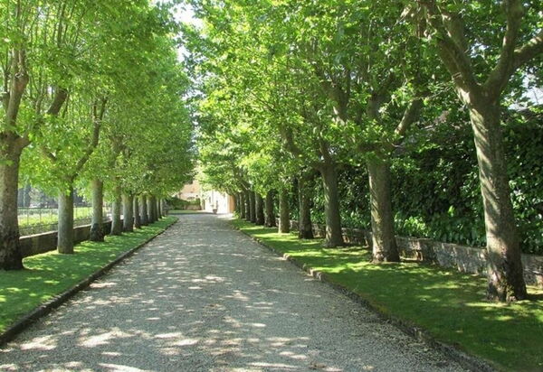 Villa Georgofili: Activities, Amenities, Building Exterior, Garden, Pool, Spring, Summer, Wellness