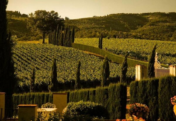 Villa Georgofili: Activities, Amenities, Building Exterior, Garden, Pool, Spring, Summer, Wellness