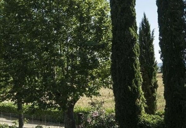 Villa Georgofili: Activities, Amenities, Building Exterior, Garden, Pool, Spring, Summer, Wellness