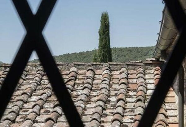 Villa Georgofili: Activities, Amenities, Building Exterior, Garden, Pool, Spring, Summer, Wellness