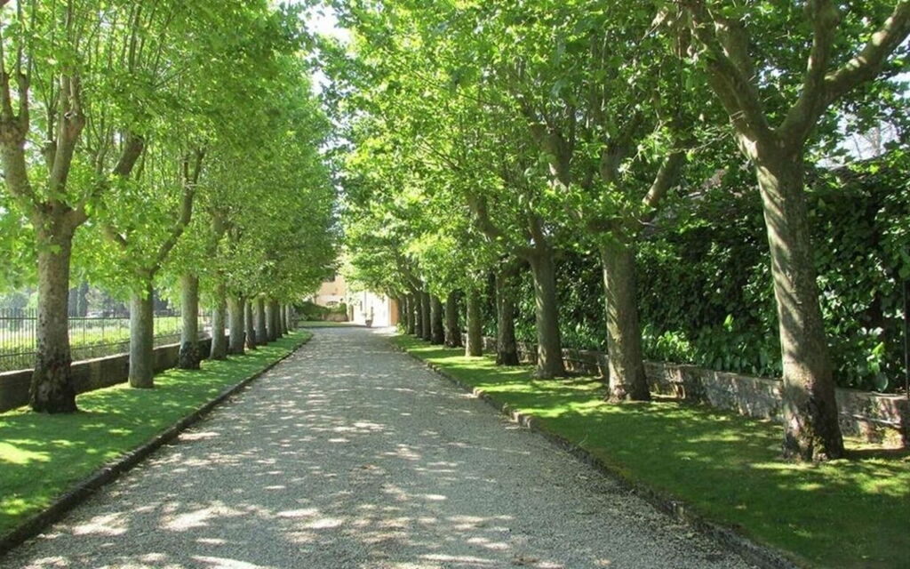 Villa Georgofili: Activities, Amenities, Building Exterior, Garden, Pool, Spring, Summer, Wellness