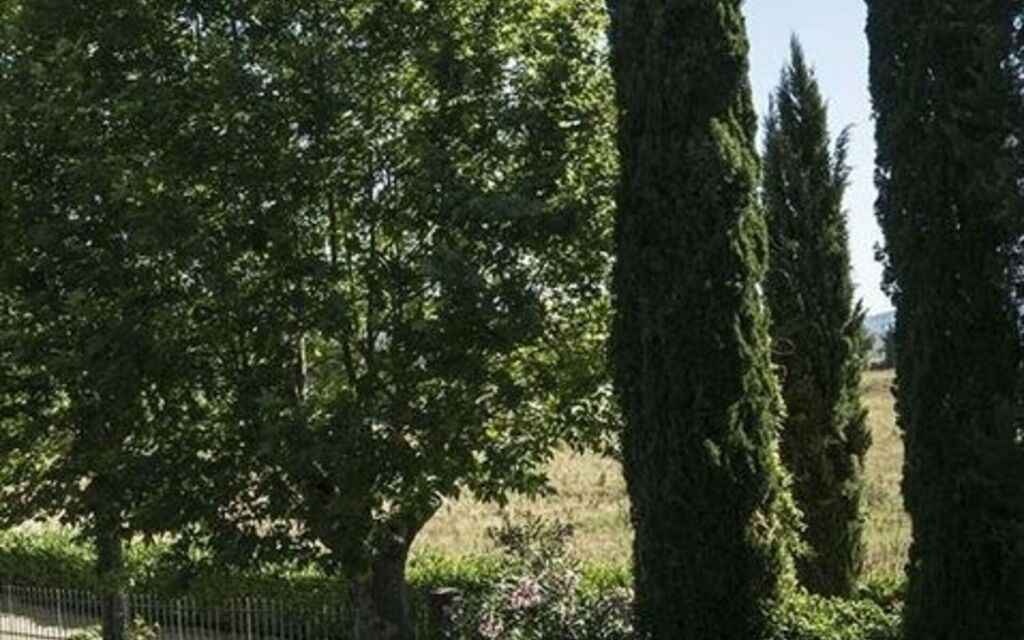 Villa Georgofili: Activities, Amenities, Building Exterior, Garden, Pool, Spring, Summer, Wellness