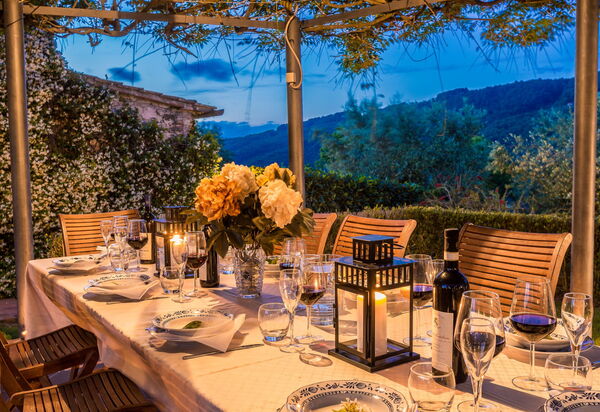 Villa Alvisi: Attività, Balcone / Terrazza / Patio, Benessere, Caratteristiche, Entrata Principale, Estate, Esterni, Giardino, Piscina, Primavera