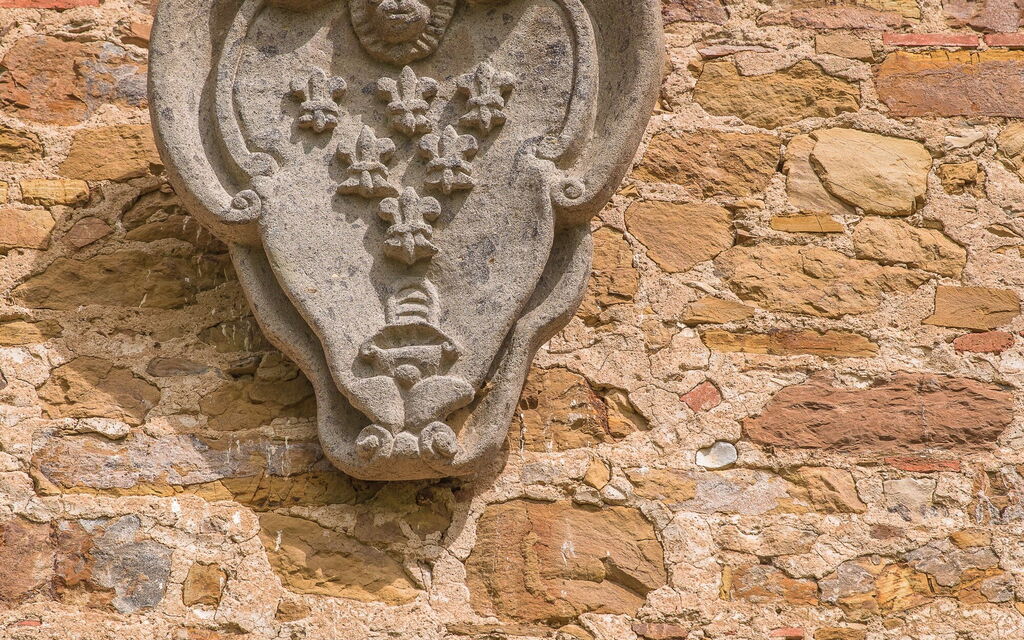 Villa Alvisi: Attività, Balcone / Terrazza / Patio, Benessere, Caratteristiche, Entrata Principale, Estate, Esterni, Giardino, Piscina, Primavera