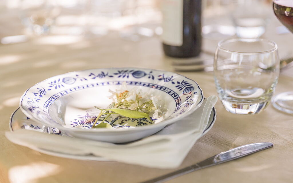 Villa Alvisi: Attività, Balcone / Terrazza / Patio, Benessere, Caratteristiche, Entrata Principale, Estate, Esterni, Giardino, Piscina, Primavera