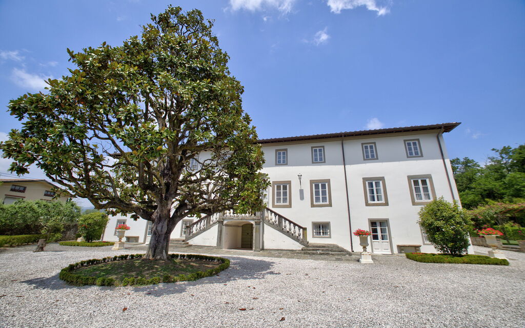 Villa Moschetti: Attività, Benessere, Caratteristiche, Cibo, Estate, Esterni, Giardino, Primavera