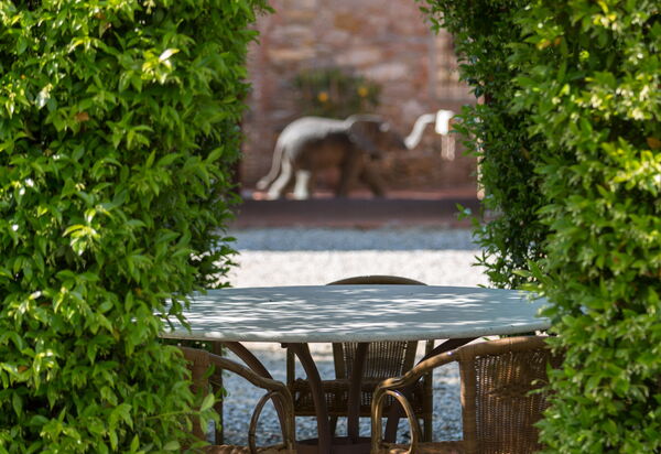 Villa Del Borgo: Attività, Caratteristiche, Entrata Principale, Estate, Esterni, Giardino, Piscina, Primavera