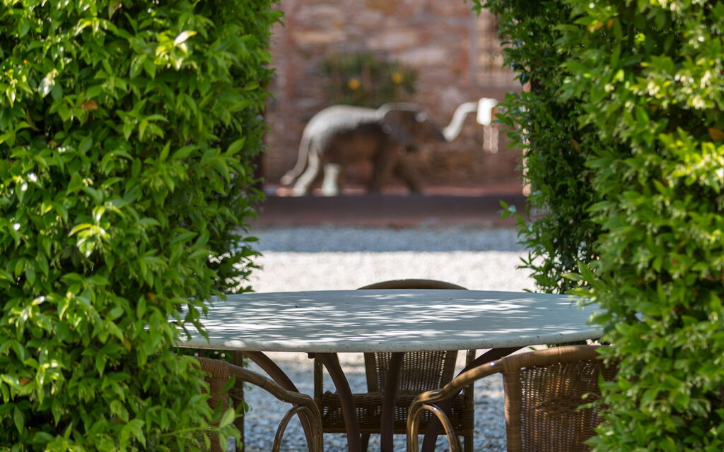 Villa Del Borgo: Attività, Caratteristiche, Entrata Principale, Estate, Esterni, Giardino, Piscina, Primavera