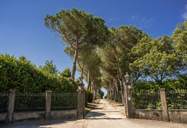 Villa Aldrovandi: all'aperto, Attività, Balcone / Terrazza / Patio, Caratteristiche, Estate, Esterni, Giardino, Piscina, Primavera, Servizi