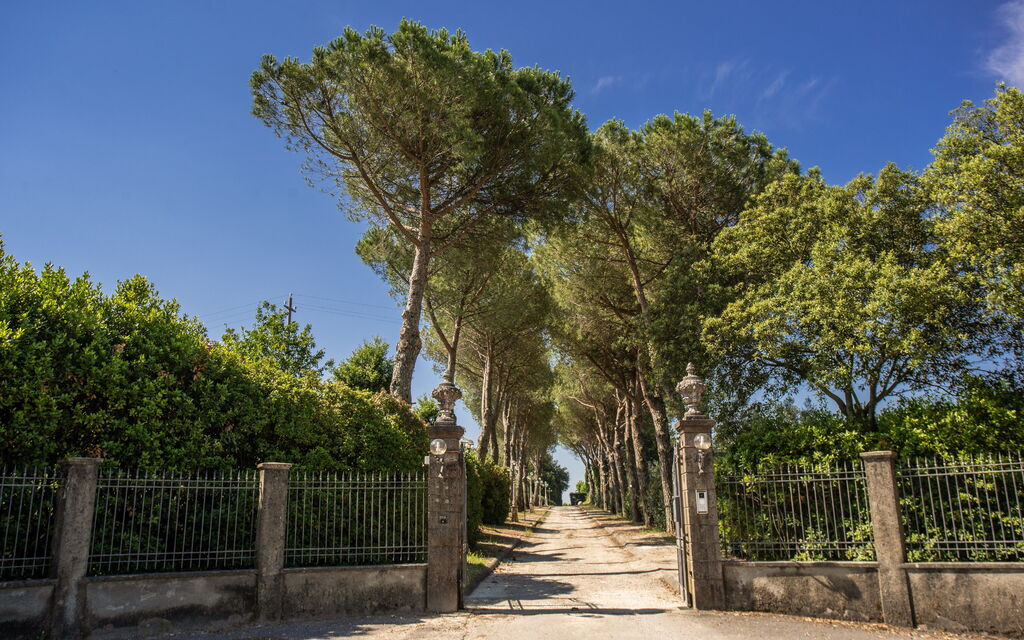 Villa Aldrovandi: all'aperto, Attività, Balcone / Terrazza / Patio, Caratteristiche, Estate, Esterni, Giardino, Piscina, Primavera, Servizi