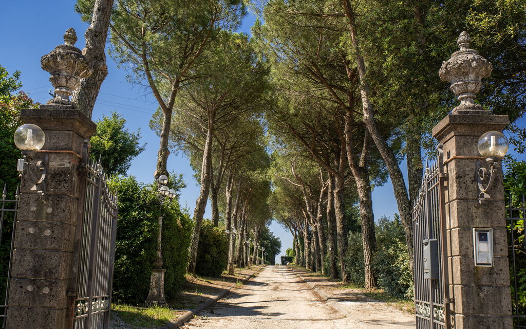 Villa Aldrovandi: all'aperto, Attività, Balcone / Terrazza / Patio, Caratteristiche, Estate, Esterni, Giardino, Piscina, Primavera, Servizi
