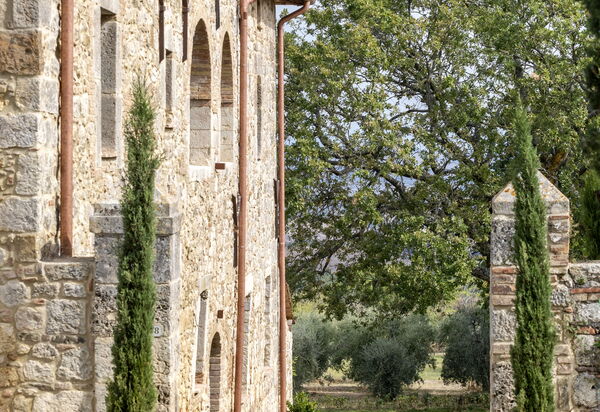 Villa Dei Conti: Attività, Caratteristiche, Estate, Esterni, Piscina, Primavera